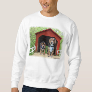 Sweatshirt Jeune niche de pont couvert de crique de Sandy de