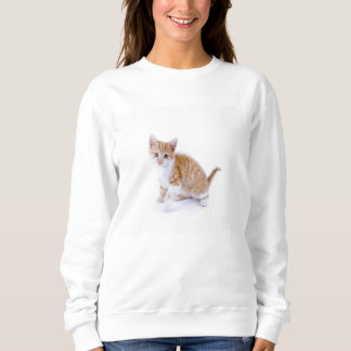 Sweatshirt joli chaton