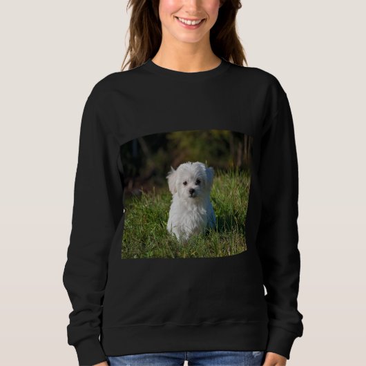 Sweatshirt Joli chiot blanc (Devant)