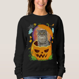 Sweatshirt Joyeux Halloween Citrouille Chat British Shorthair