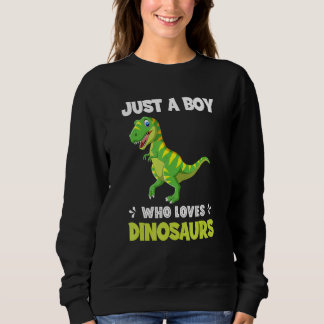 Sweatshirt Just A Boy Who Loves Dinosaurs Rawr Rex Dinosaur