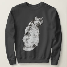 Katt