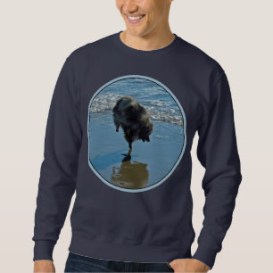 Sweatshirt Keeshond Ballet Photographie - Joli chien d'origin
