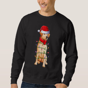 Sweatshirt Labrador Chien Santa Claus Vêtements Noël Garçons