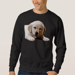 Sweatshirt Labrador Nap Time