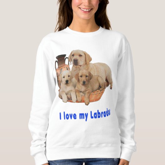 Sweatshirt Labrador Retriever (Devant)
