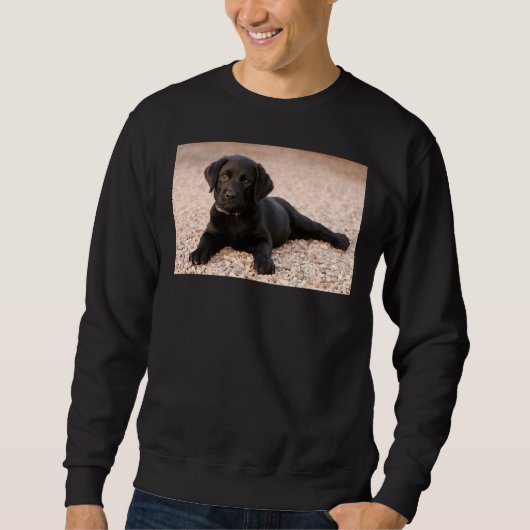 Sweatshirt Labrador Retriever Puppy (Devant)