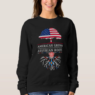 Sweatshirt L'Amérique Grandit Avec Des Racines Assyriennes As