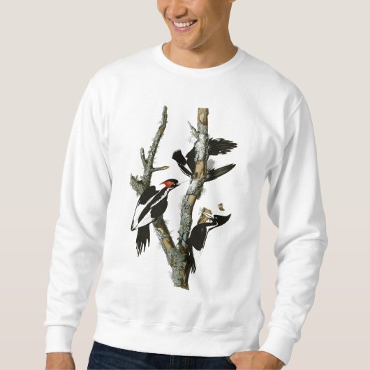 Sweatshirt Le pivert Ivoire-affiché d'Audubon (Devant)