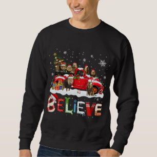 Sweatshirt Lion équitation Camion Rouge Arbre de Noël Croire