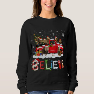 Sweatshirt Lion équitation Camion Rouge Arbre de Noël Croire