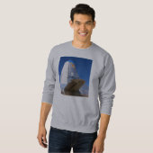 Sweatshirt L'U.S. Air Force : Commande d'air tactique (Devant entier)