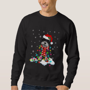 Sweatshirt lumières schnautiques de Noël mignonnes avec cha