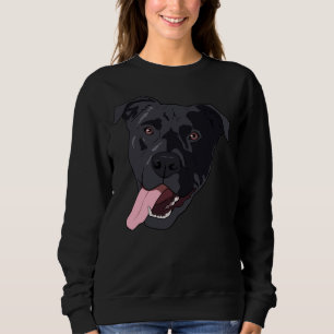 Sweatshirt Mélange de laboratoire Pittador noir