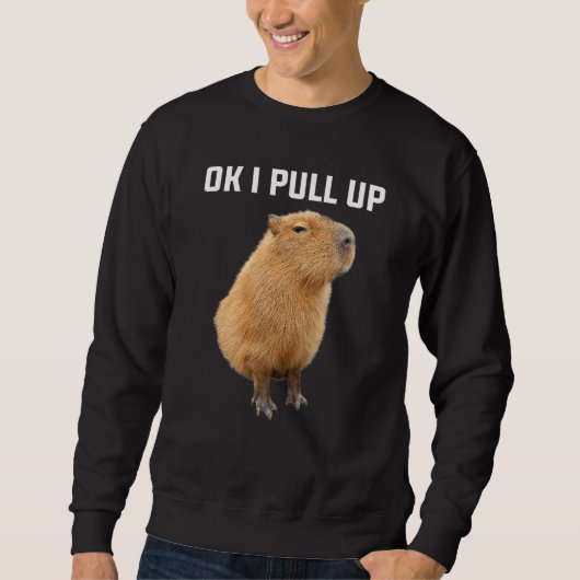 Sweatshirt Men Women Kids Ok I Pull Up Funny Capybara costume (Devant)
