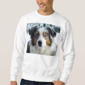 Sweatshirt merle bleu 3 de berger australien (Devant)