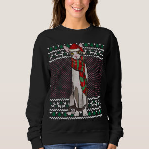Sweatshirt Noël Cornouailles Rex Chat Santa Hat Noël moche