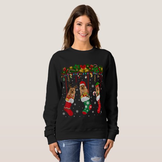 Sweatshirt Norwich Terrier (Devant entier)