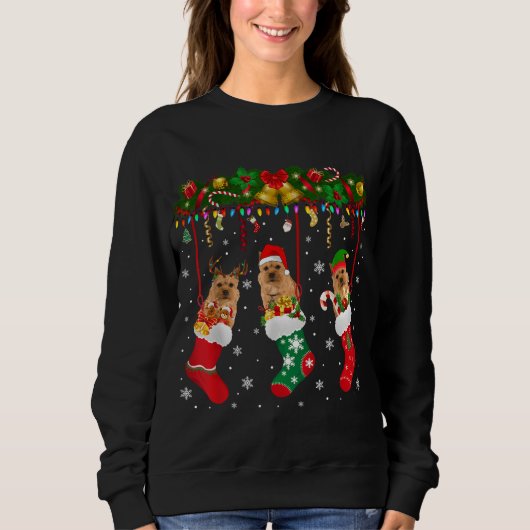 Sweatshirt Norwich Terrier (Devant)