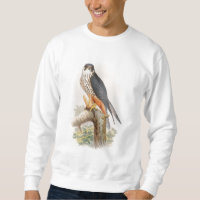 Oiseaux de John Gould de faucon de passe-temps de