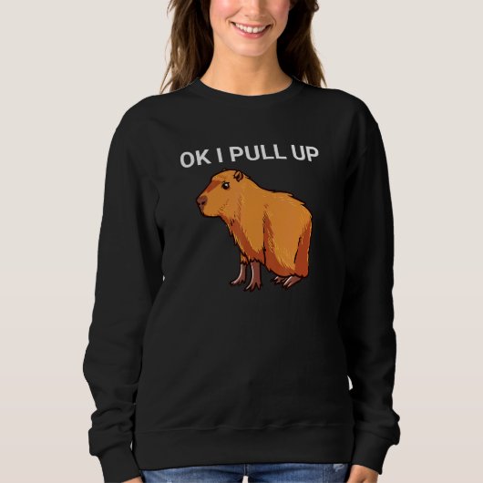 Sweatshirt Ok J'Ai Tiré Capybara Dank Meme (Devant)