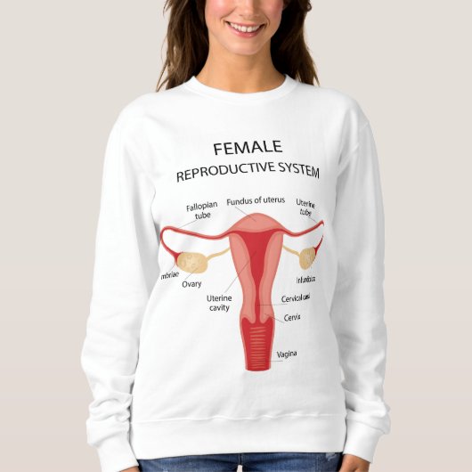 Sweatshirt Organes reproducteurs féminins (Devant)