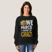 Sweatshirt Package Delivery Agent A Crazy (Devant entier)