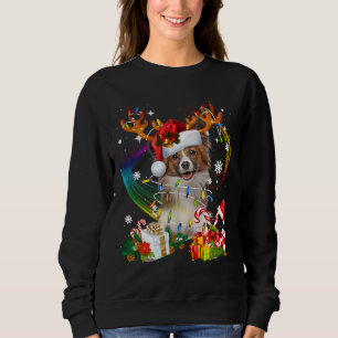 Sweatshirt Papillon Reindee Noël éclaire le chien Noël Noël