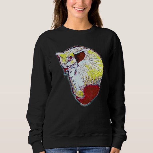 Sweatshirt Peinture Abstraite Numérique D'un Chat 29 (Devant)