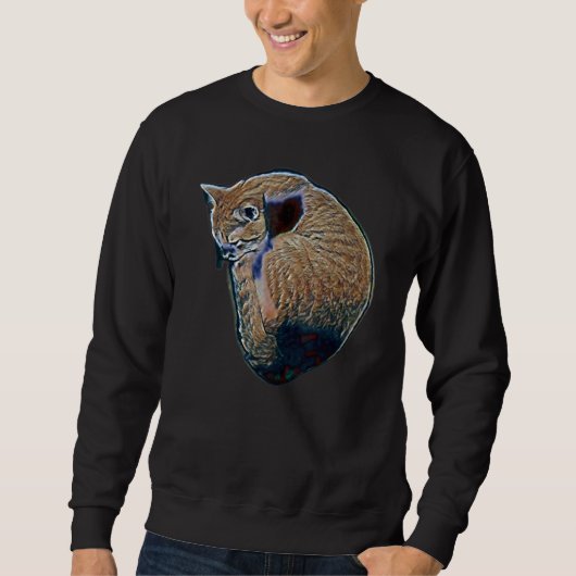 Sweatshirt Peinture Abstraite Numérique D'un Chat 55 (Devant)