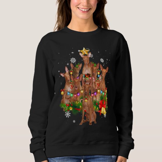 Sweatshirt Pharaon Hound Noël Chien Lumières Pyjamas Fa (Devant)