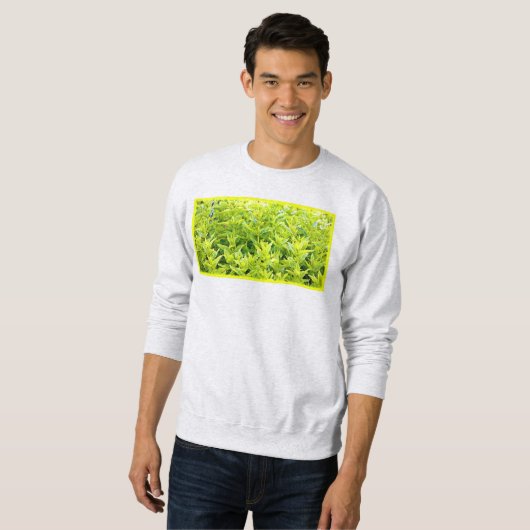 Sweatshirt Photo "Mint Plantes". Commandez dès maintenant (Devant entier)