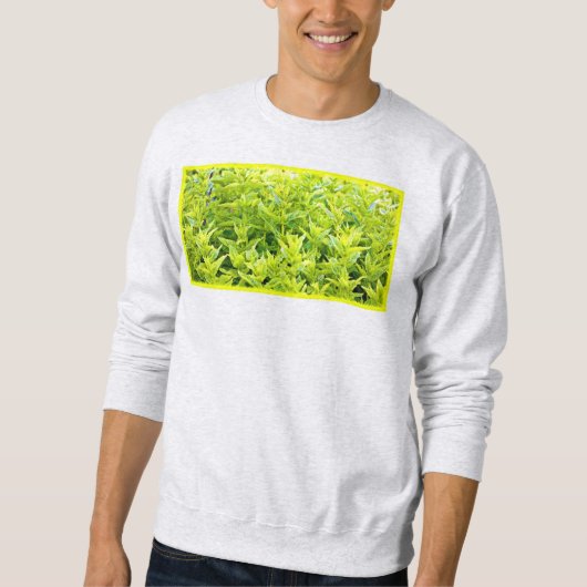 Sweatshirt Photo "Mint Plantes". Commandez dès maintenant (Devant)