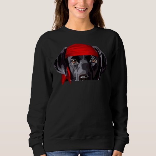 Sweatshirt Pirate curieux Black Lab Chipot (Devant)