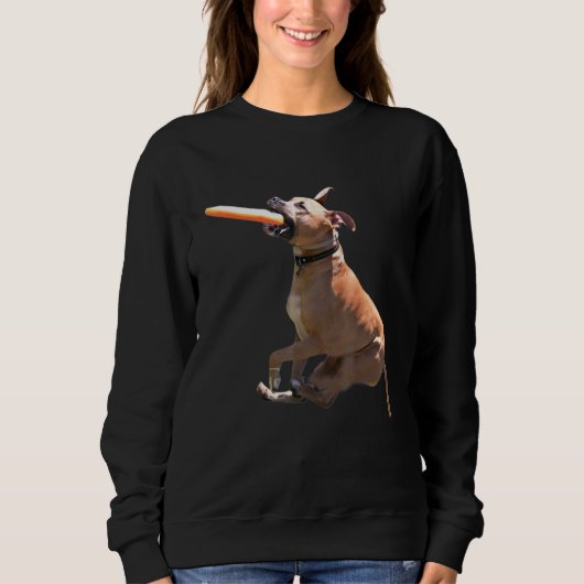 Sweatshirt Pit Bull Frisbee Graphisme Pit Bull Terrier imprim (Devant)