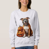 Sweatshirt Pitbull avec Citrouilles d'Halloween (Devant)