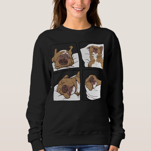 Sweatshirt Pitbull Lazy Funny Pitbull Lazy (Devant)