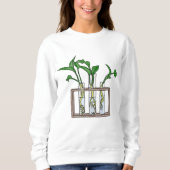 Sweatshirt PLANTE CHEMIST Laboratoire Gain Botany Hobby Test (Devant)