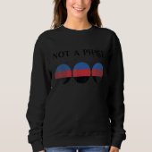 Sweatshirt Polyamory Pride Flag Not A Phase Polyamorous 2 (Devant)