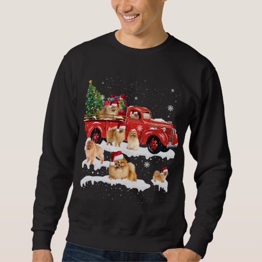 Sweatshirt Poméranie équitation Camion Rouge Joyeux Noël (Devant)