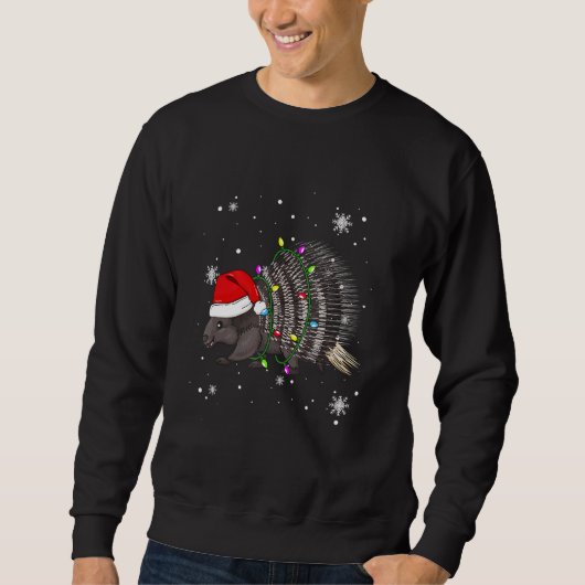 Sweatshirt Porcupine lumières de Noël Led Santa Hat Noël (Devant)