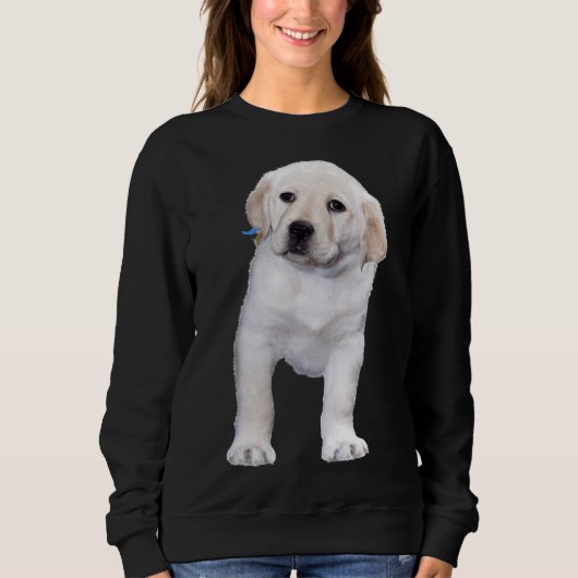 Sweatshirt Poster Labrador Retriever (Devant)