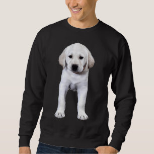 Sweatshirt Pot labrador