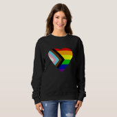 Sweatshirt Pride Progress Rainbow Flag LGBT + Trans und Queer (Devant entier)