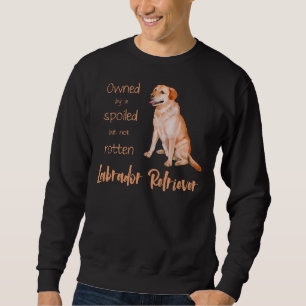 Sweatshirt Propriétaire D'Un Retriever Lavé Du Labrador! Pour