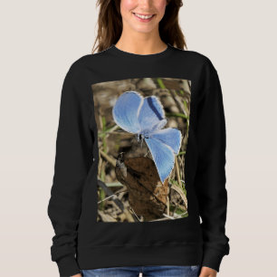 Sweatshirt R 2585 1 Papillon Bleu Espoir Bleu Papillon