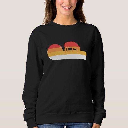 Sweatshirt Retro Sunset Bison américain (Devant)