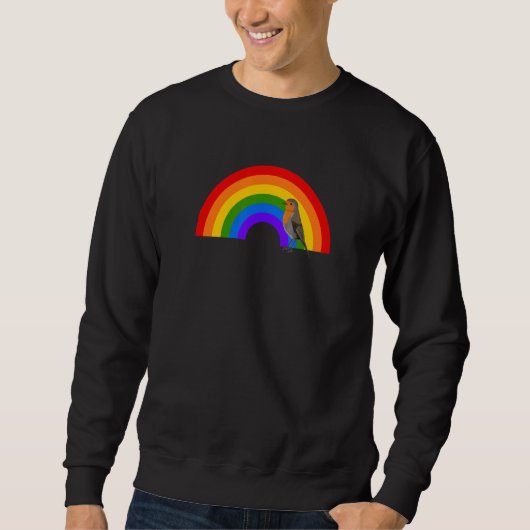 Sweatshirt Robin Rainbow Bird Bird Birdwatcher Animal Biologi (Devant)