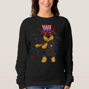 Sweatshirt Rosseuse Flottante Avec Casquette Usa Firework 4èm