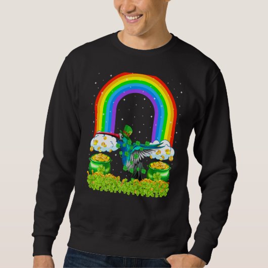 Sweatshirt Shamrock Rainbow Leprechaun Hummingbird St Patrick (Devant)